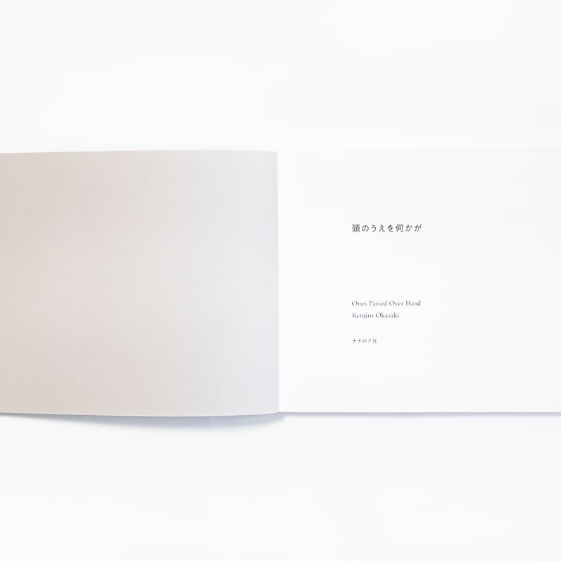 頭のうえを何かが Ones Passed Over Head 岡﨑乾二郎 | ナナロク社の店