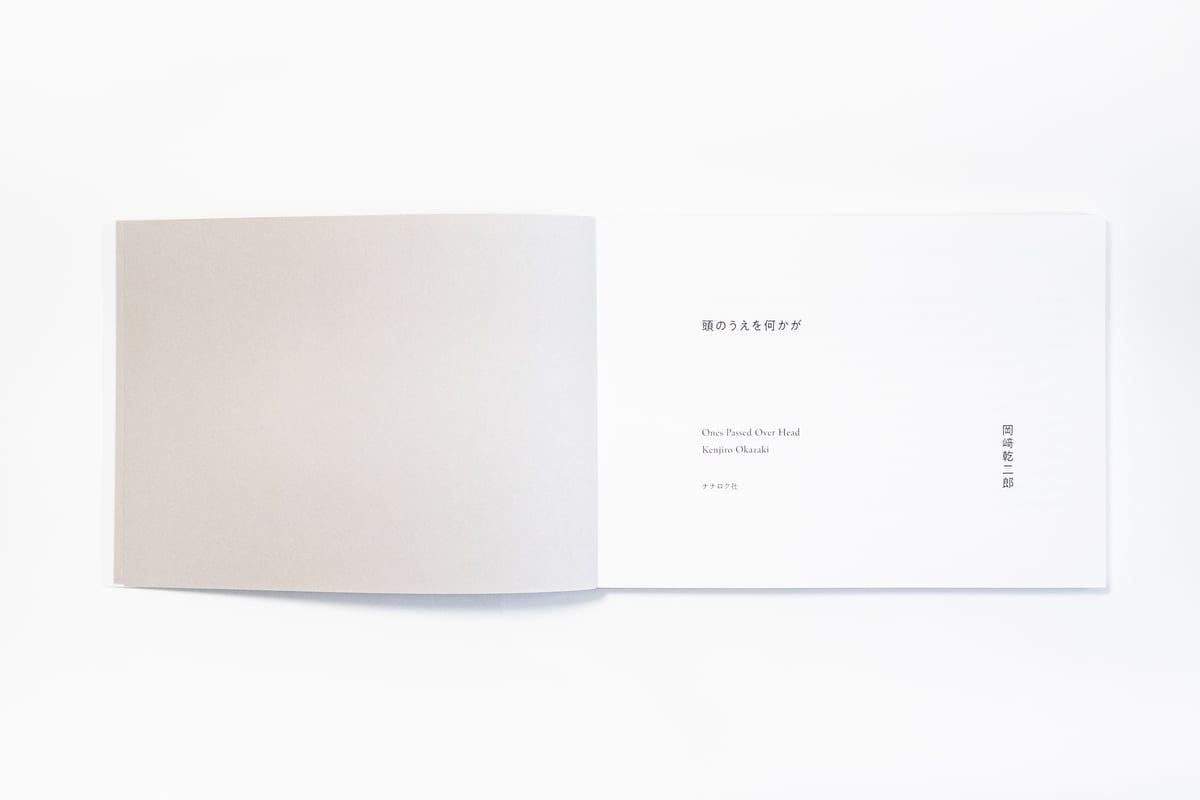 頭のうえを何かが Ones Passed Over Head 岡﨑乾二郎 | ナナロク