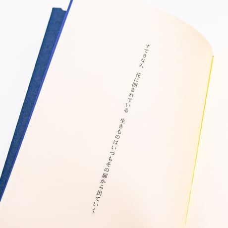 百年後　嵐のように恋がしたいとあなたは言い　実際嵐になった　すべてがこわれわたしたちはそれを見た