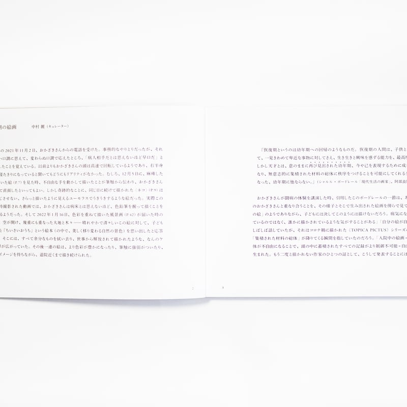 頭のうえを何かが Ones Passed Over Head 岡﨑乾二郎 | ナナロク社の店