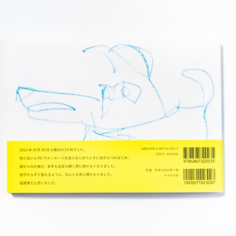 頭のうえを何かが　Ones Passed Over Head　岡﨑乾二郎