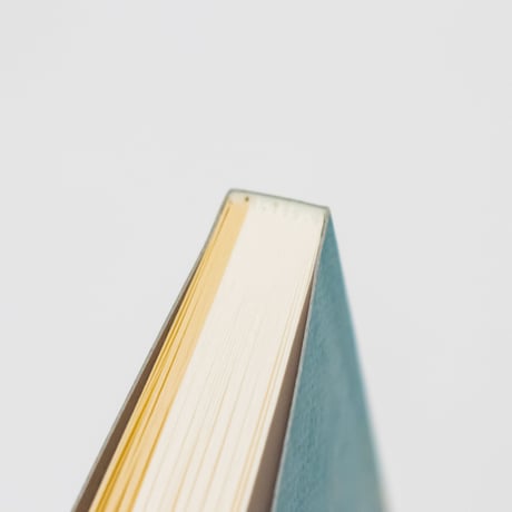 歌集副読本『老人ホームで死ぬほどモテたい』と『水上バス浅草行き』を読む