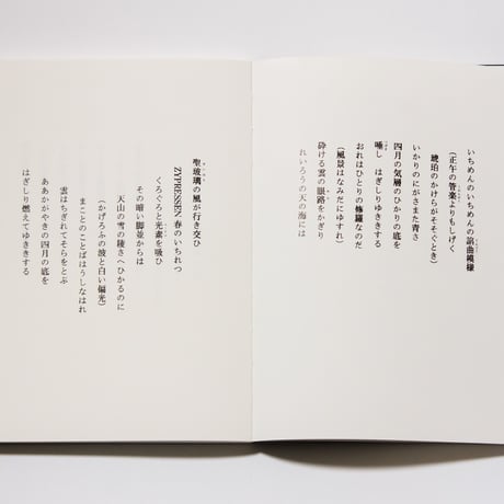 写訳　春と修羅　詩：宮沢賢治　写真とエッセイ：齋藤陽道　／解説　若松英輔