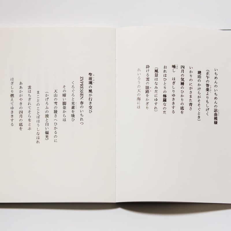 写訳 春と修羅 詩：宮沢賢治 写真とエッセイ：齋藤陽道 ／解説 若松 