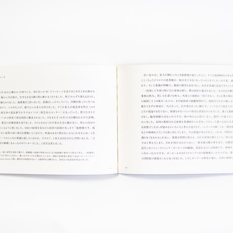 頭のうえを何かが　Ones Passed Over Head　岡﨑乾二郎