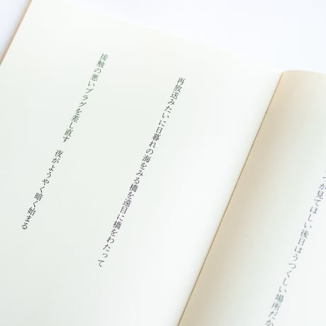 あなたに犬がそばにいた夏　岡野大嗣、佐内正史
