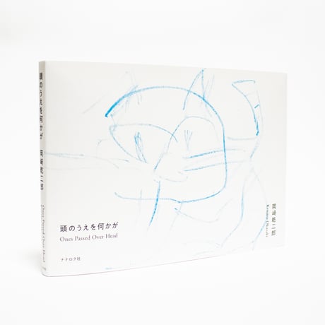 頭のうえを何かが　Ones Passed Over Head　岡﨑乾二郎