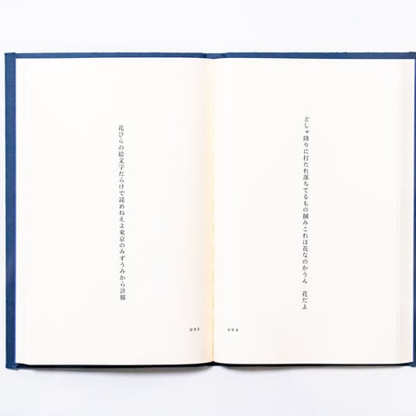 百年後　嵐のように恋がしたいとあなたは言い　実際嵐になった　すべてがこわれわたしたちはそれを見た