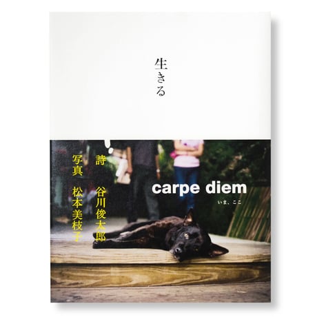 CATEGORY ・写真 | ナナロク社の店