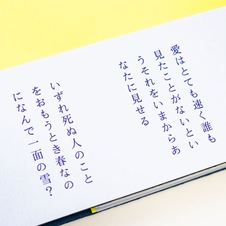 百年後　嵐のように恋がしたいとあなたは言い　実際嵐になった　すべてがこわれわたしたちはそれを見た