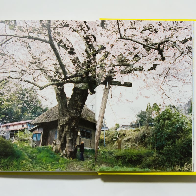 こんにちは 谷川俊太郎（表紙3種類・中は同じです） | ナナロク