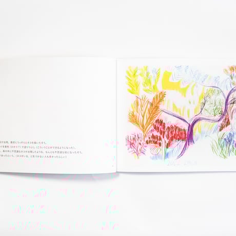 頭のうえを何かが　Ones Passed Over Head　岡﨑乾二郎