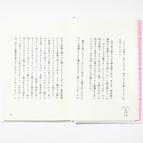 一年前の猫　近藤聡乃
