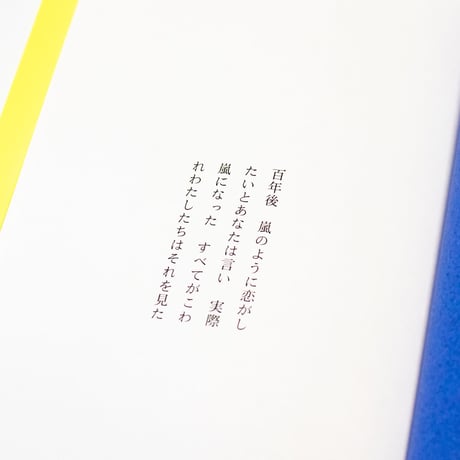 百年後　嵐のように恋がしたいとあなたは言い　実際嵐になった　すべてがこわれわたしたちはそれを見た