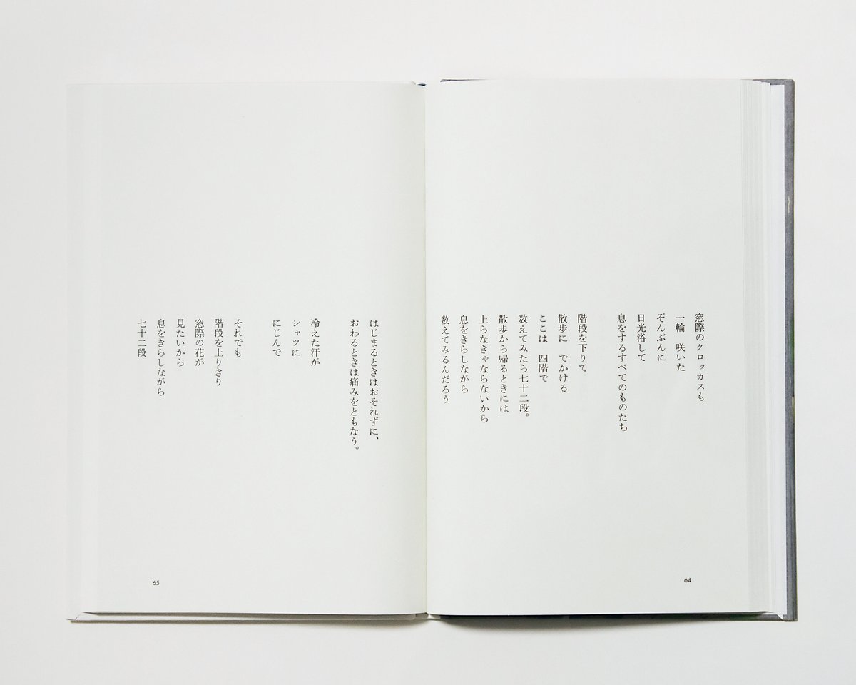 【中古】 野の花あかり 俳句ノートより/深夜叢書社/みつはしちかこ 徳田千鶴子句集『花の翼』（はなのつばさ） - ふらんす堂