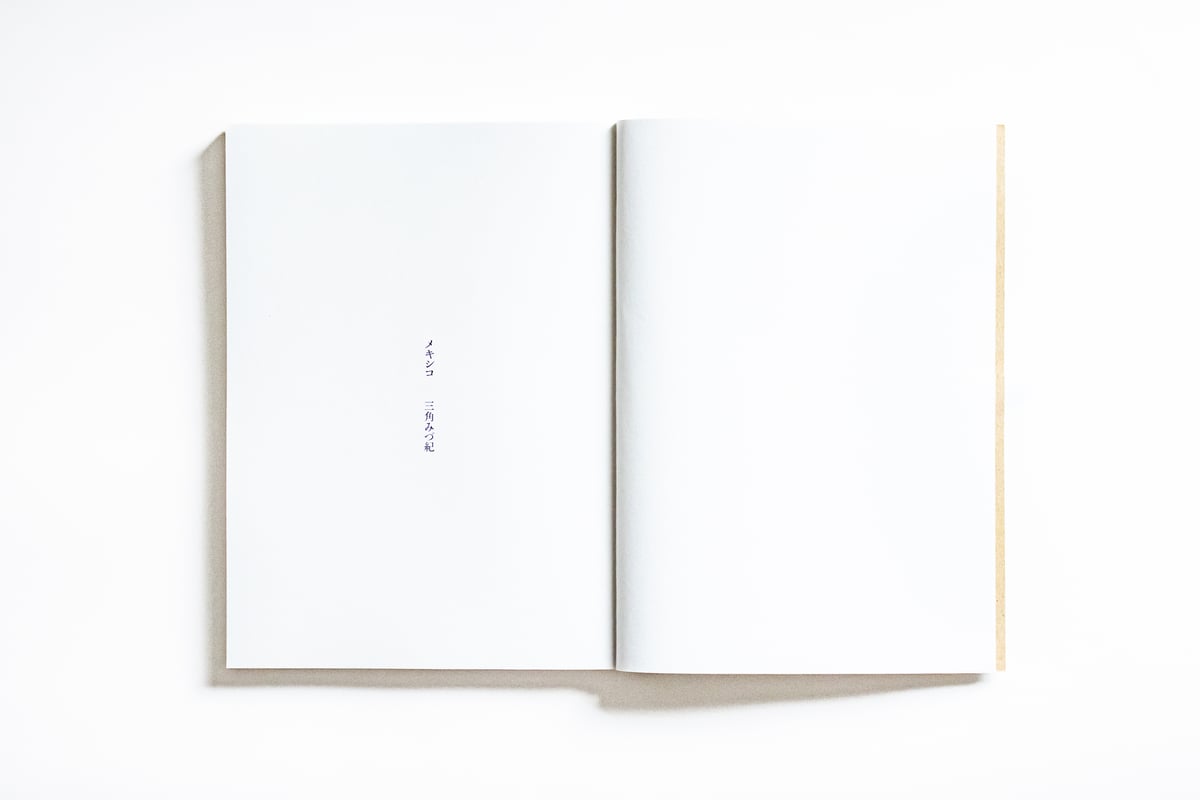 メキシコ 三角みづ紀 | ナナロク社の店