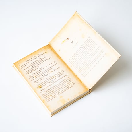 本の幽霊　西崎憲