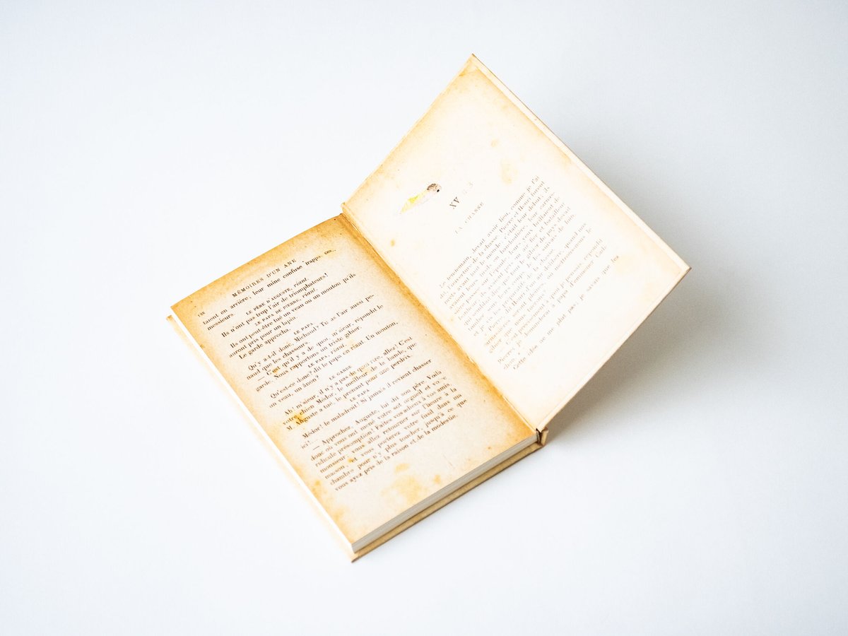 本の幽霊 西崎憲 | ナナロク社の店