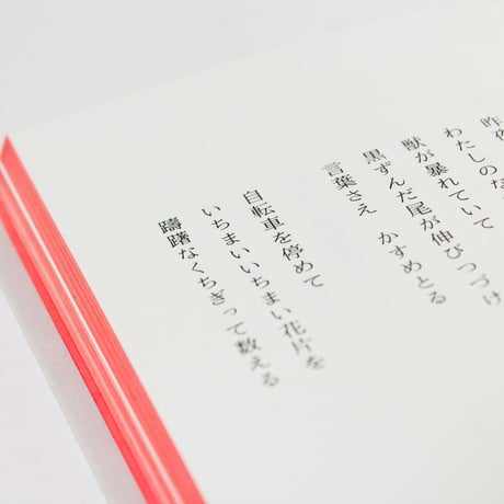 どこにでもあるケーキ　三角みづ紀