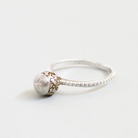 ring/S26-A0-0020