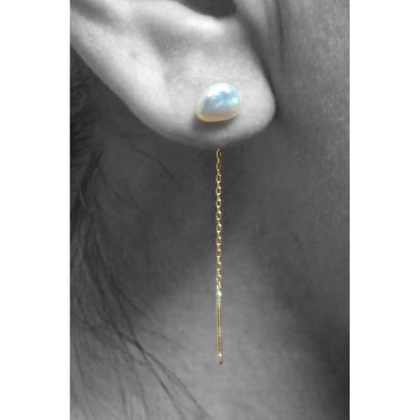 pierce/S19-S1-0110