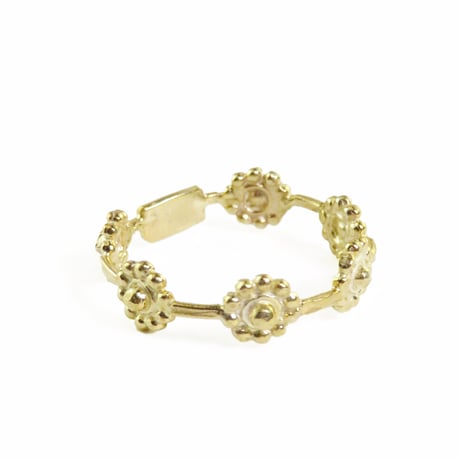 ring/S26-S1-0021
