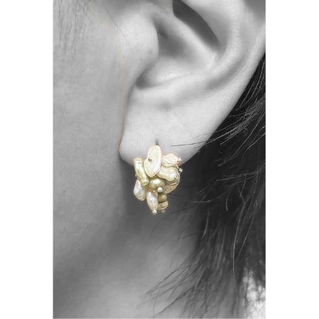 pierce/S26-S0-0212