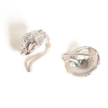 pierce/S19-S1-0212