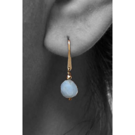 pierce/S19-S0-0311