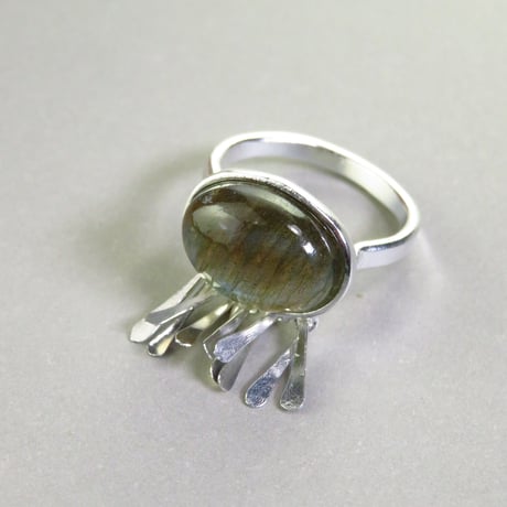 ring/S25-A1-0020