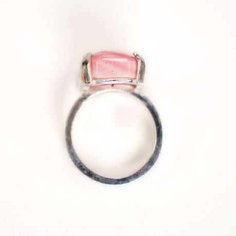 ring/S19-S1-0220