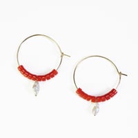 pierce/S25-S1-0210