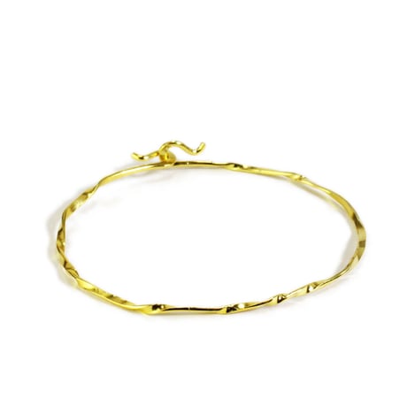 blacelet/S22-S1-0231