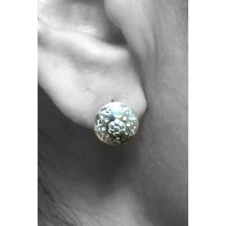 pierce/S19-S1-0212