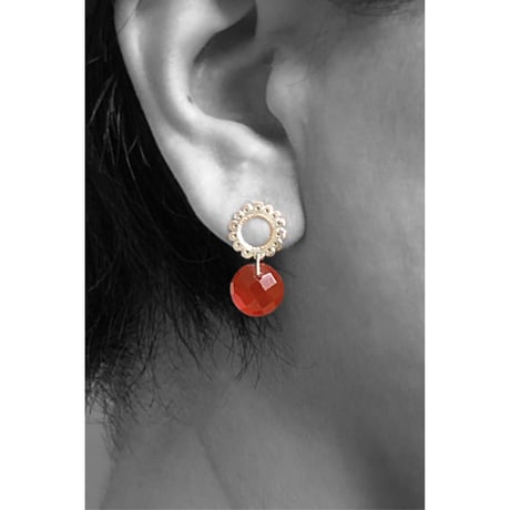 pierce/S23-S1-0111