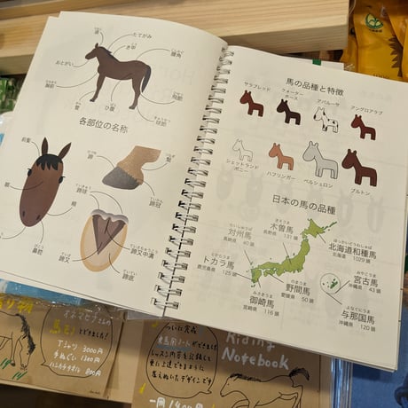 Horse Riding Notebook