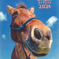 2月末にて販売終了❗　沖縄月桃紙　2024与那国馬　カレンダー