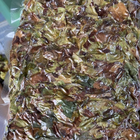 乾燥ホップ100g (B品)