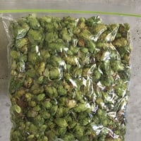 乾燥ホップ200g (B品)