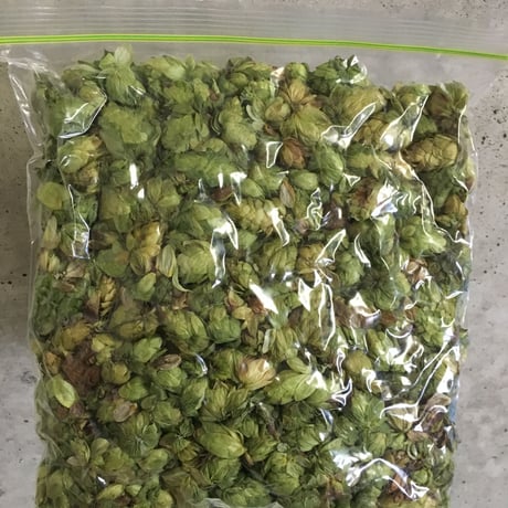 乾燥ホップ100g (チヌーク)