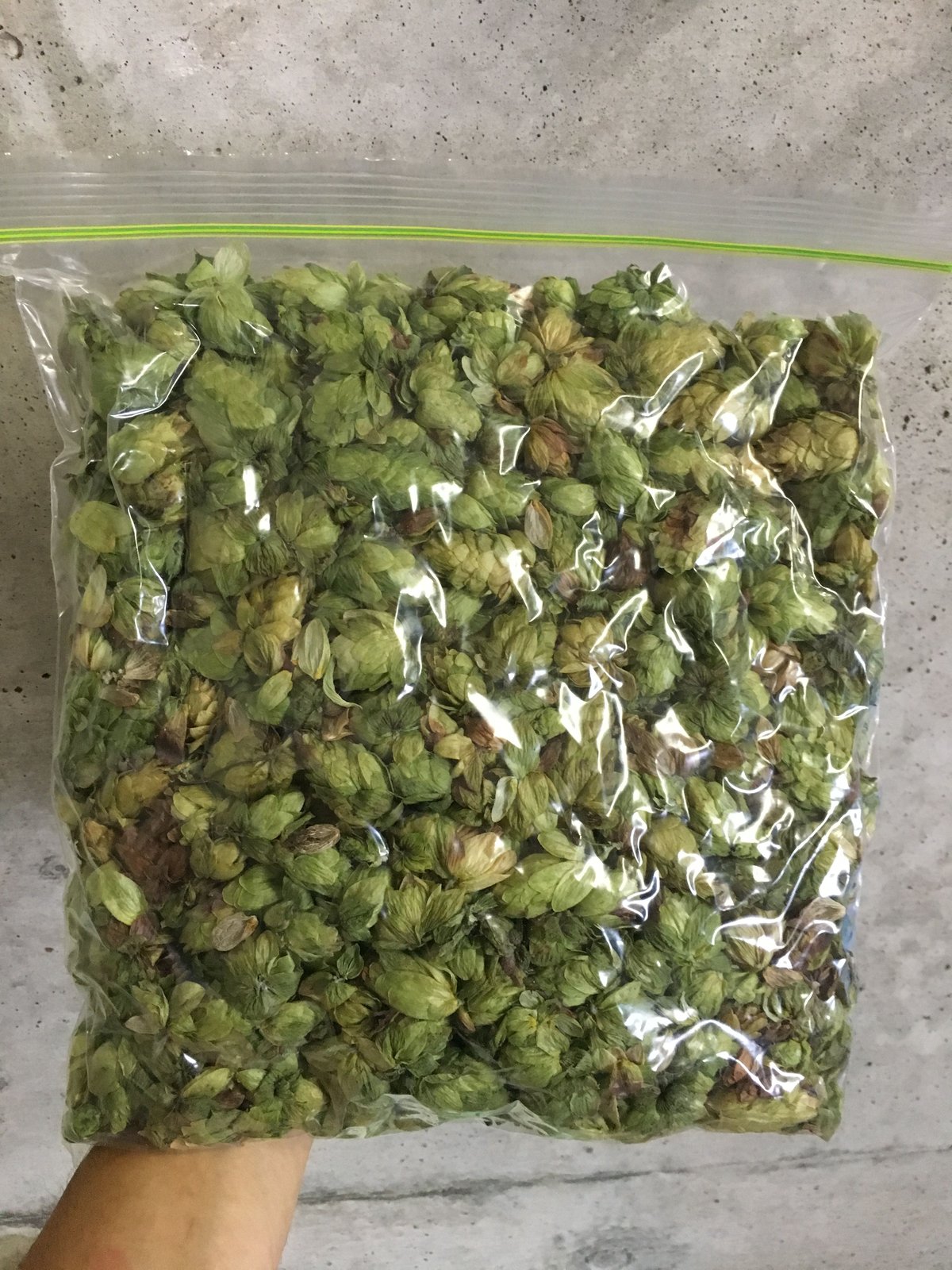 乾燥ホップ100g (チヌーク) | ホップ屋 Hop Shop