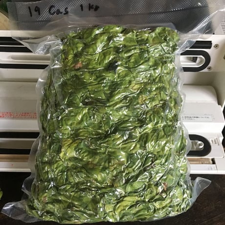冷凍フレッシュホップ　クリスタル　100ｇ 真空パック包装　着払い
