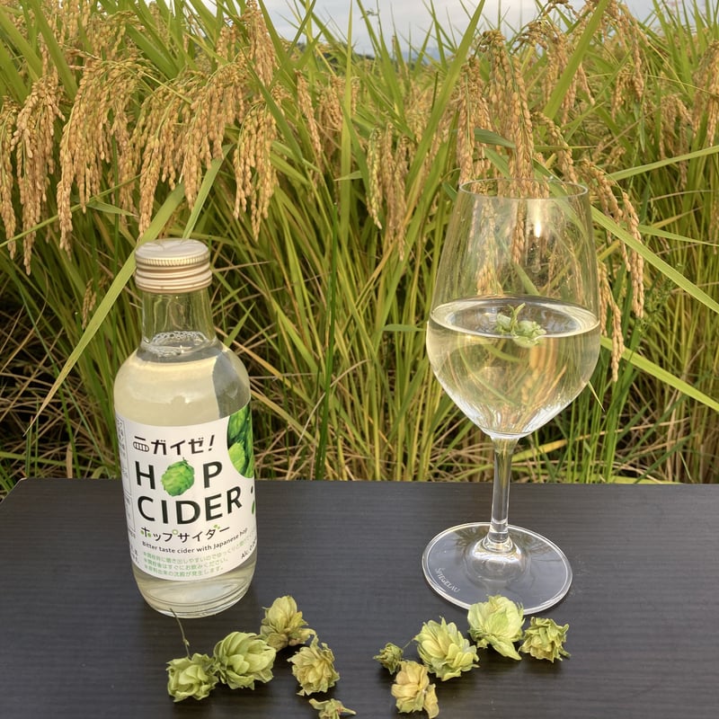 乾燥ホップ付き ホップサイダー 20本 | ホップ屋 Hop Shop