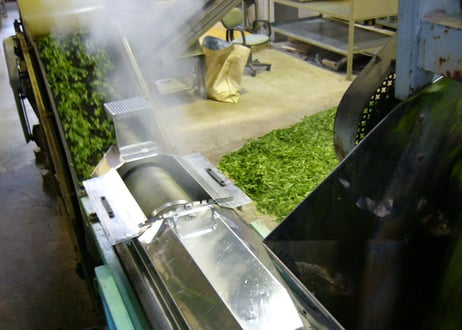①【定期便】（ご自宅用）有機栽培・駿河天狗の養生煎茶（100g）×2袋セット