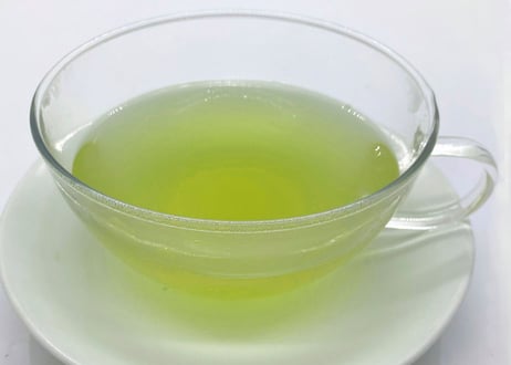 ①【定期便】（ご自宅用）有機栽培・駿河天狗の養生煎茶（100g）×2袋セット
