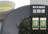 ①【定期便】（ご自宅用）有機栽培・駿河天狗の養生煎茶（100g）×2袋セット