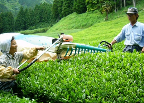 ③【通常購入】有機栽培・駿河天狗の養生煎茶（100g）×2袋セット