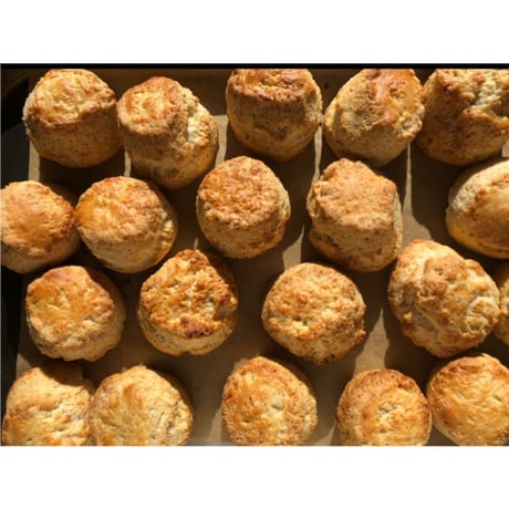 【道内限定】かぼちゃのプリンとスコーンとケーキとクッキーセット【10/6日 発送】※箱不要のクーポン使用不可