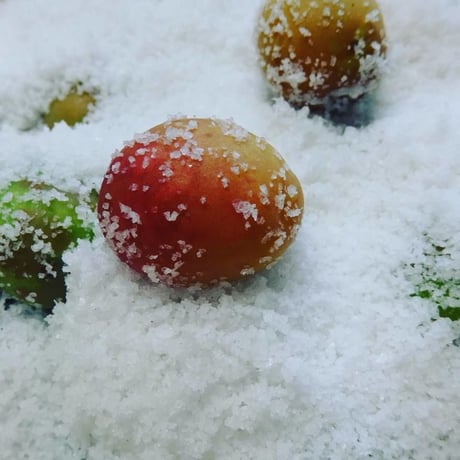 【TEJAKULA 完全天日海塩・あら塩 (マグカップ入り) 150g】そのまま食卓に、自然のミネラルを