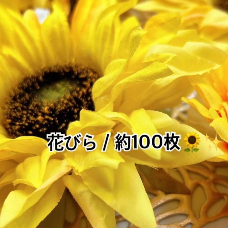 62d62a86d858740809a6db3a